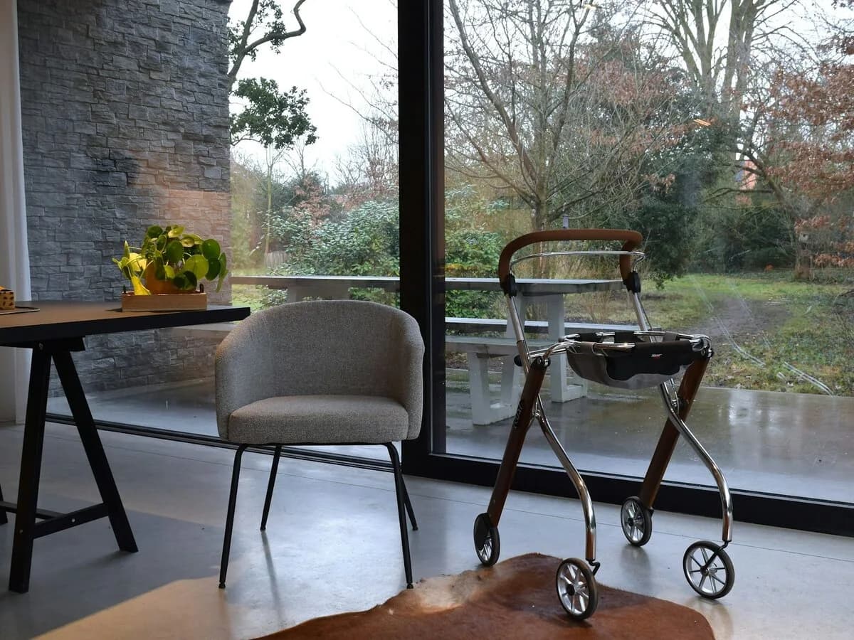 Rehabilitation in Dementia: Efficacy and Safety